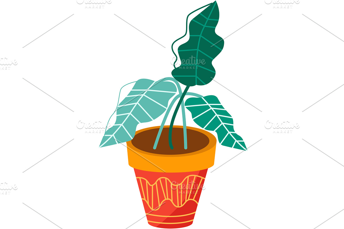 Houseplant in pot vector flowerpot, an Object Illustration by vectorpointstudio