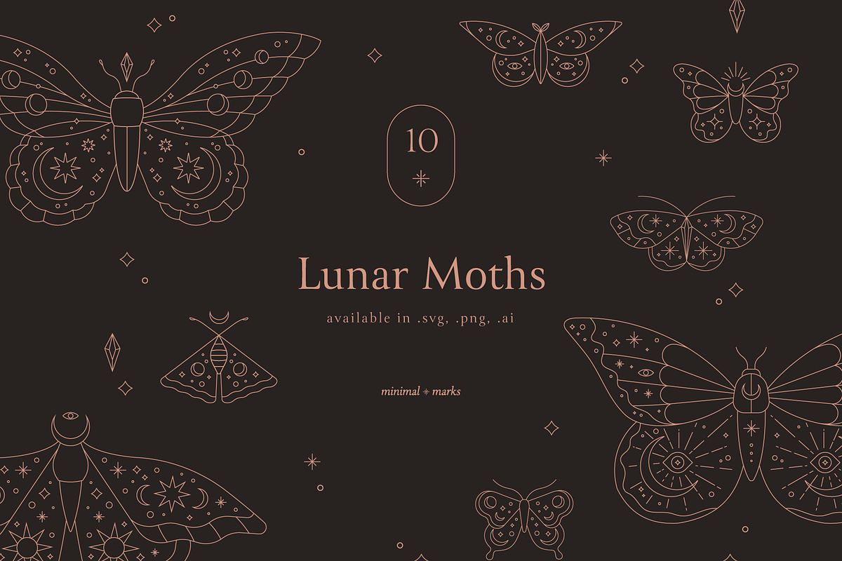 Celestial Moth & Butterfly Vectors, an Illustration by Minimal Marks (Photo 1 of 5)