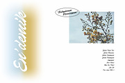 Dosescript - A classic script, a Script Font by Brainware Graphic (Thumbnail 12 of 13)