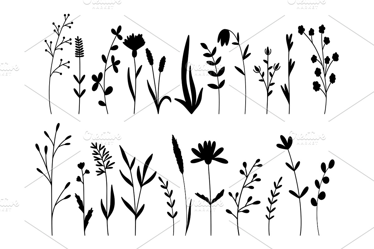 Botanical silhouette set of, an Object Illustration by Tati_Kli