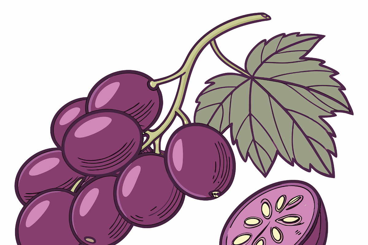 Fresh purple grapes, a Food Illustration by SouravDesign (Photo 1 of 3)