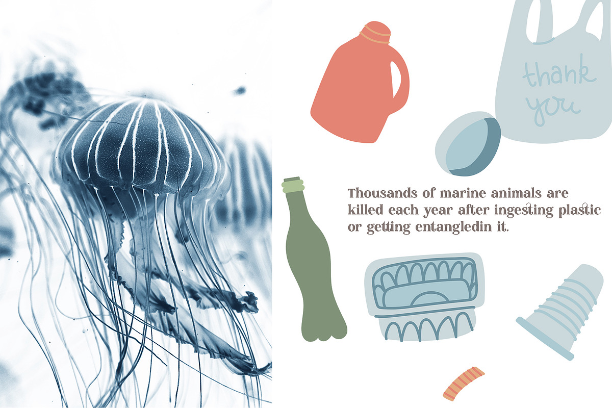 Zero Waste Clipart Collection, an Animal Illustration by Kate Galunga Artstore (Photo 10 of 20)