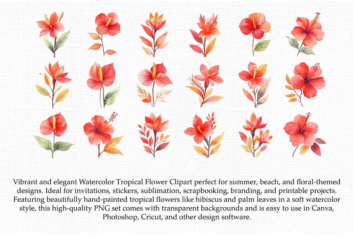 Watercolor Tropical Flower Clipart, an Illustration by Libby Wishes (Photo 3 of 3)