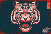 FIGHTER II - Vector illustration, an Animal Illustration by Artistic & Unique (Thumbnail 1 of 12)