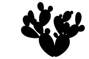 collection desert cactus silhouettes, an Illustration by Amazin_art (Thumbnail 20 of 33)