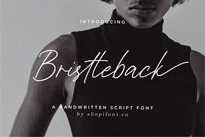 Bristleback, a Script Font by Shopifont.co