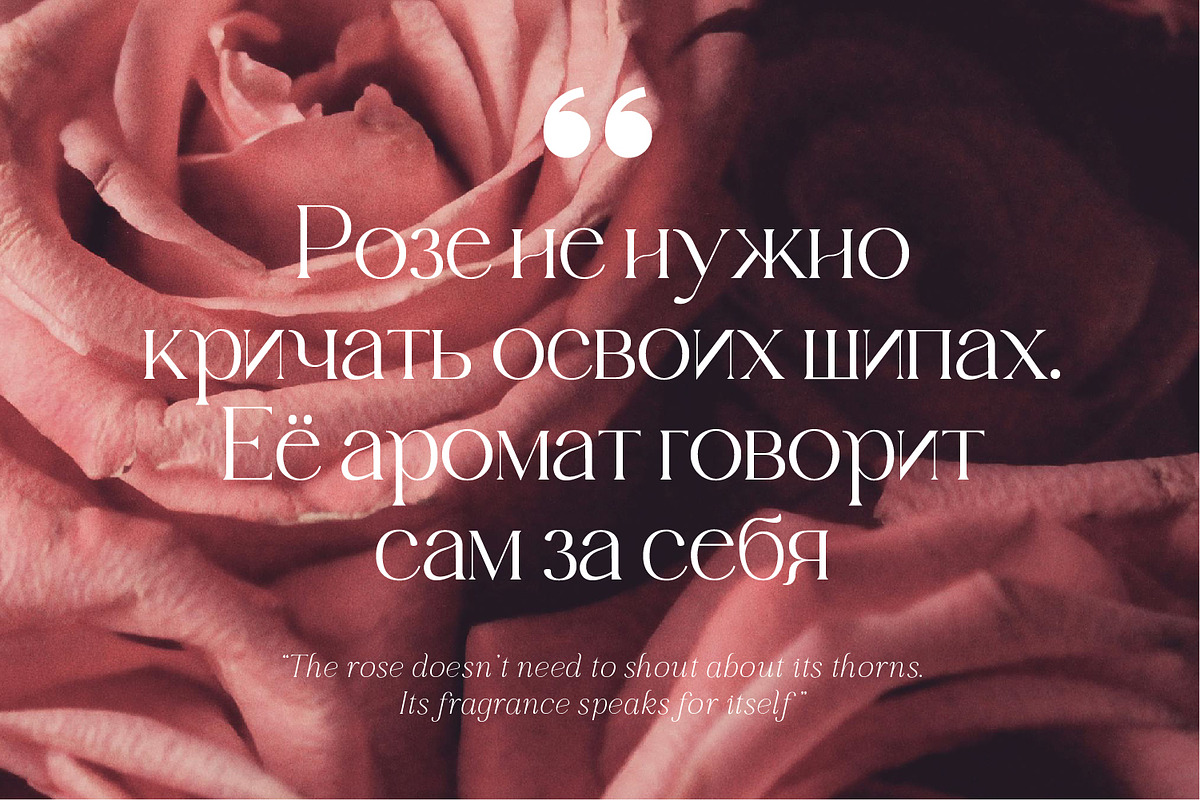 Edensor Pro – Romantic Luxury Serif, a Serif Font by FactoryType Studio (Photo 8 of 12)