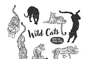Jungle Cat Sketches, an Icon by Anastasiya Klempach (Thumbnail 8 of 10)