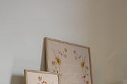TERRE D'OMBRE Autumn Wildflowers, a Decorative Illustration by Muse Artist (Thumbnail 11 of 13)