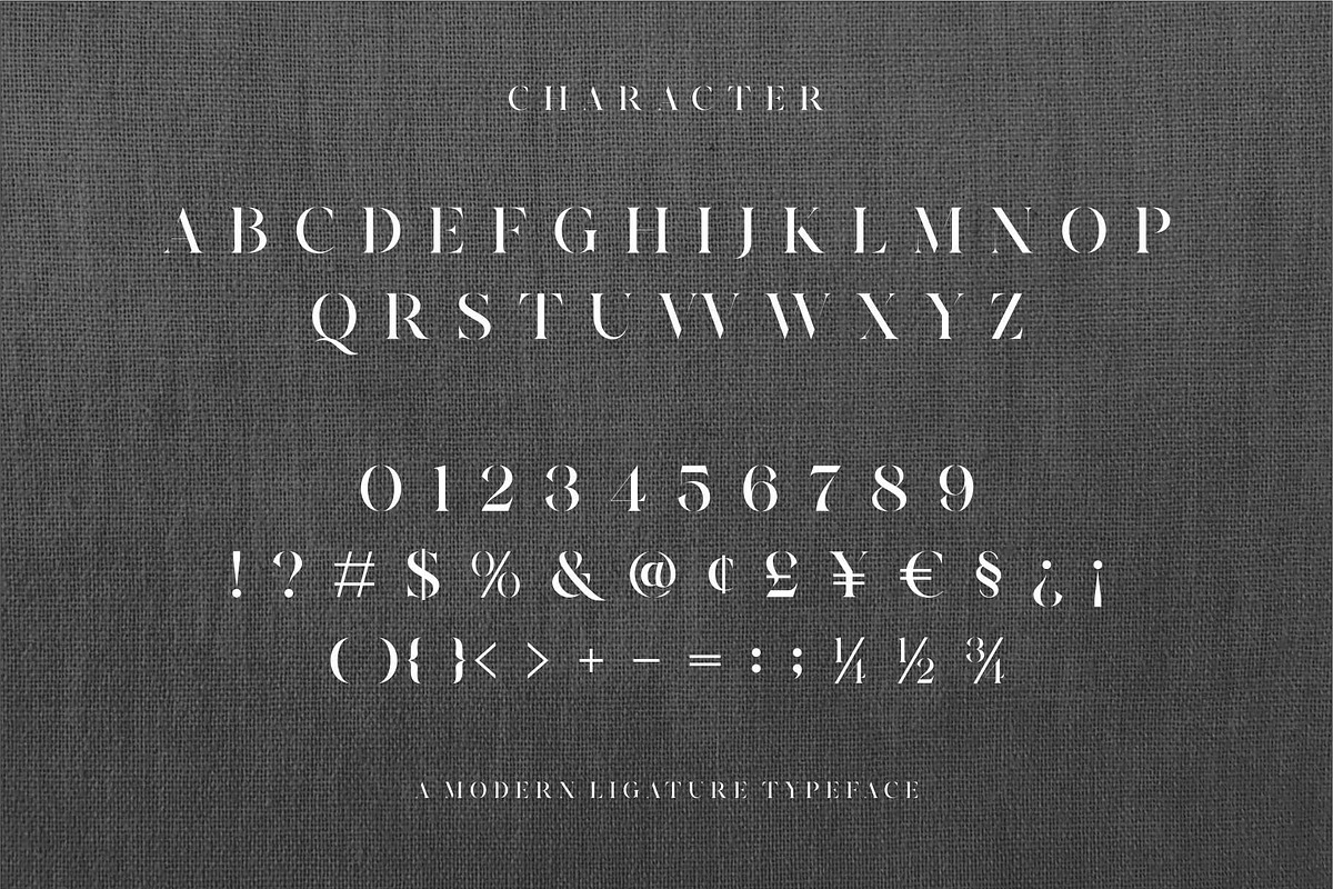 Riqas Modern Ligature Serif, a Serif Font by Dylla_studio (Photo 11 of 12)