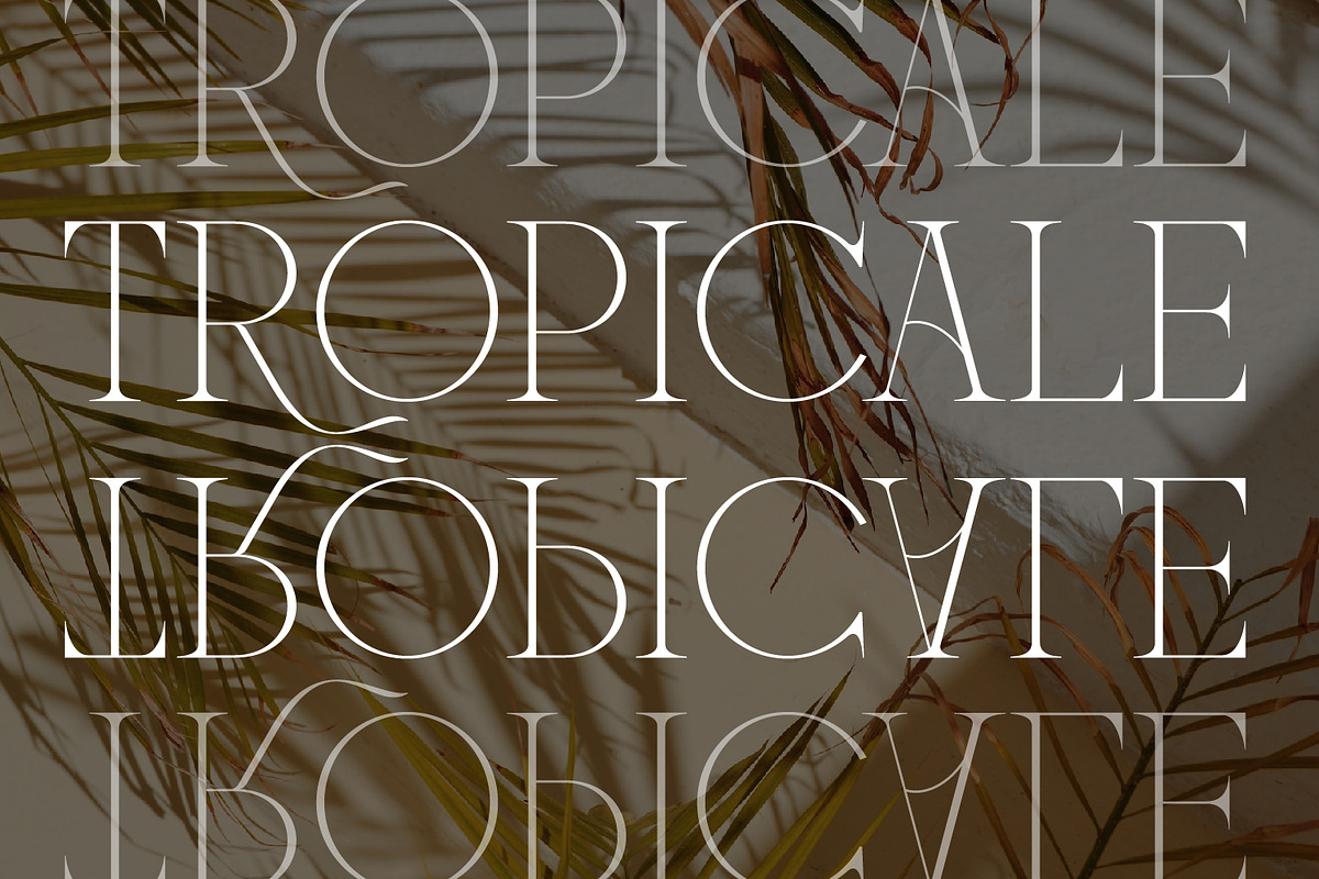 Mounchera - Art Deco Serif, a Serif Font by Variatype (Photo 7 of 14)