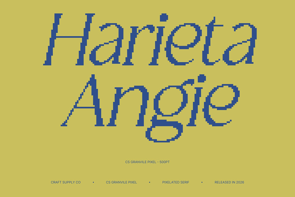 CS Granvile Pixel, a Serif Font by Craft Supply Co. (Photo 3 of 8)
