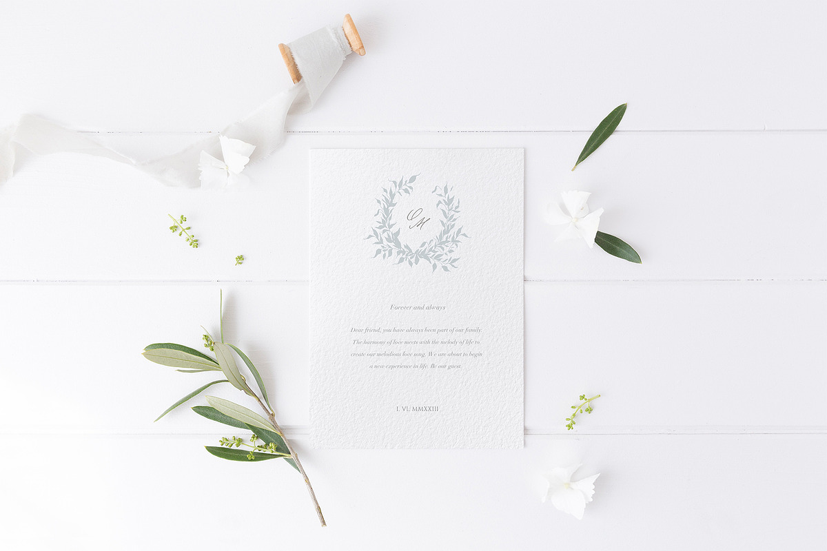 Olive leaves. Laurel frame & wreath, a Decorative Illustration by Summer Nightingale Art (Photo 7 of 15)