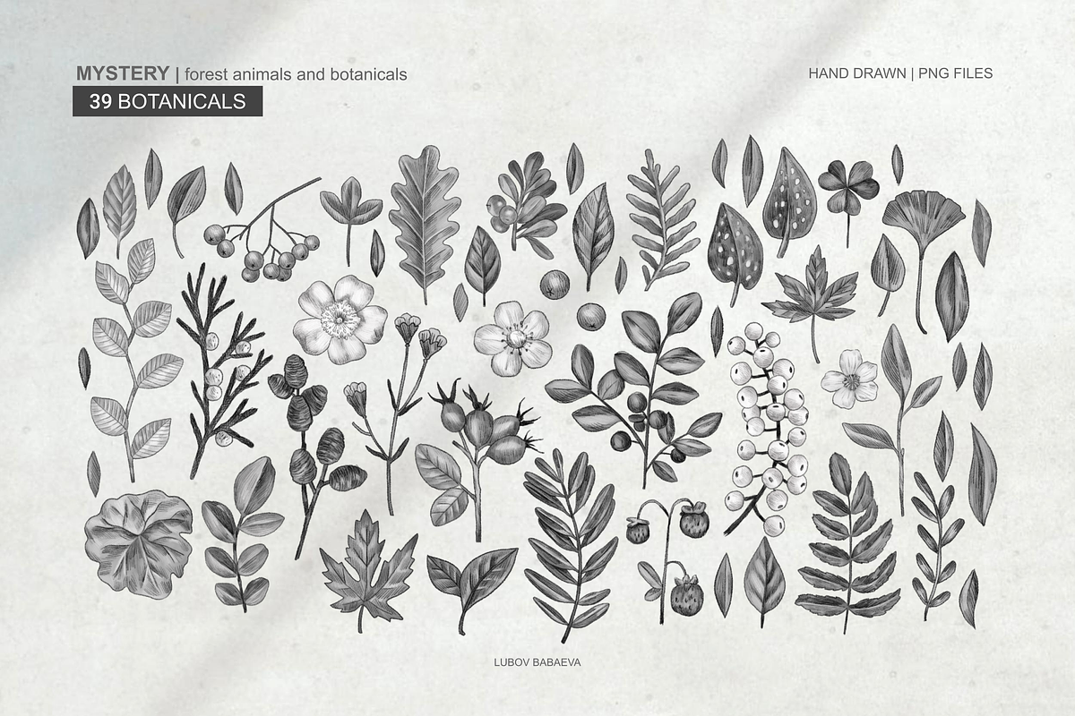 Mystery forest animals, leaves, an Animal Illustration by ARTMIRU (Photo 3 of 11)