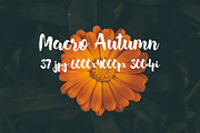 Macro Autumn photo bundle, a Templates & Theme by ApertureVintage (Thumbnail 6 of 21)