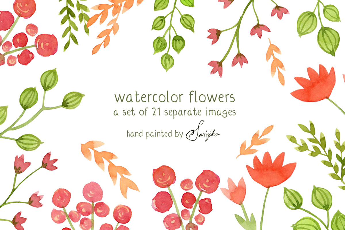 Watercolor Flowers, Floral, an Illustration by swiejko (Photo 1 of 2)