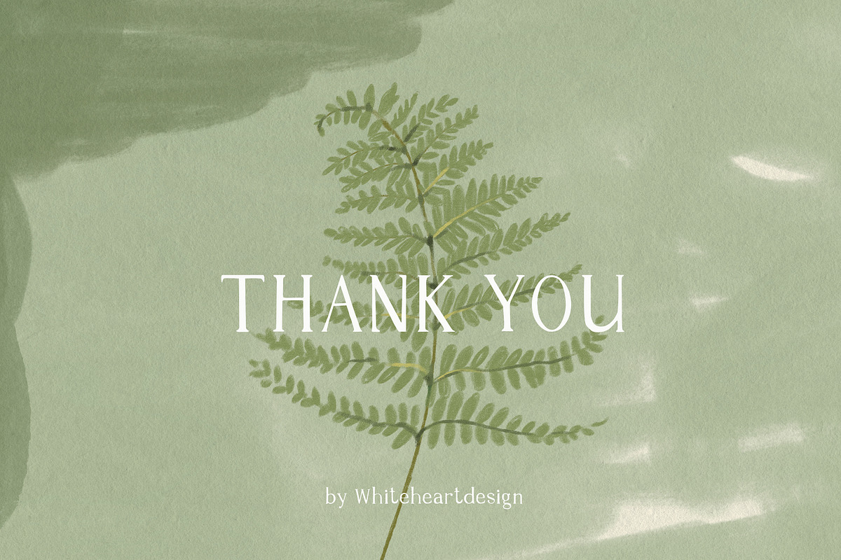 Greenery & Ferns PNG Illustrations, a Decorative Illustration by whiteheartdesign (Photo 19 of 19)