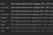 Acosta - Serif Font Family, a Serif Font by Zane Studio (Thumbnail 7 of 11)