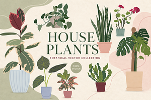 Home Plants, a Decorative Illustration by alexdndz