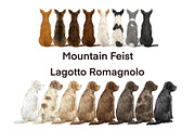 Watercolor Dog Clipart. Dog Breeds, an Animal Illustration by ColorfulPT (Thumbnail 3 of 8)