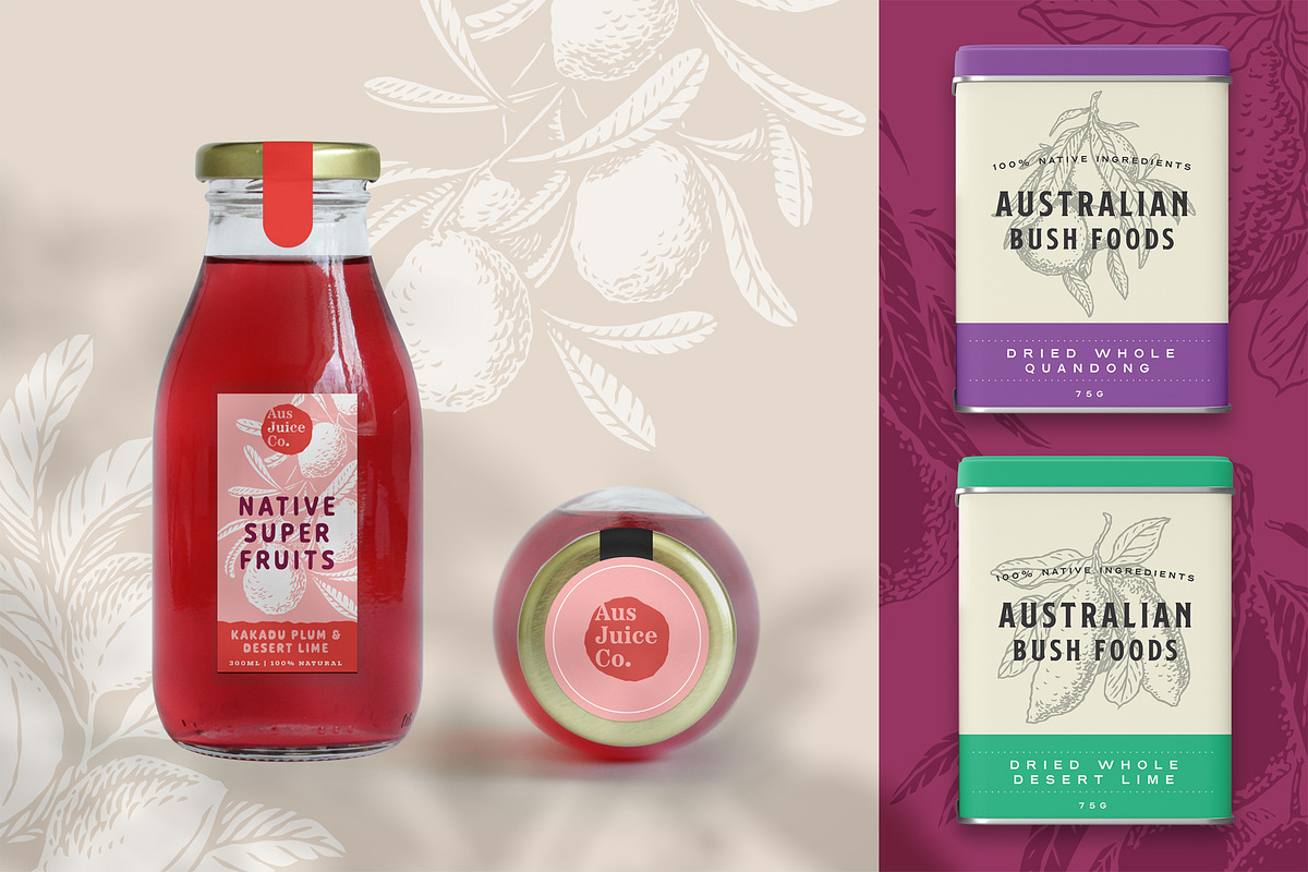 Australian Bush Foods Set, a Food Illustration by rouxsupplyco (Photo 4 of 8)