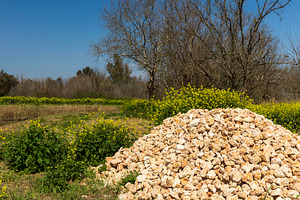 A pile of small stones, a Nature Photo by Imaginarium