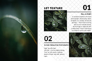 Liquid Jewels – Macro Photography, a Nature Photo by Virgo Studio (Thumbnail 3 of 6)