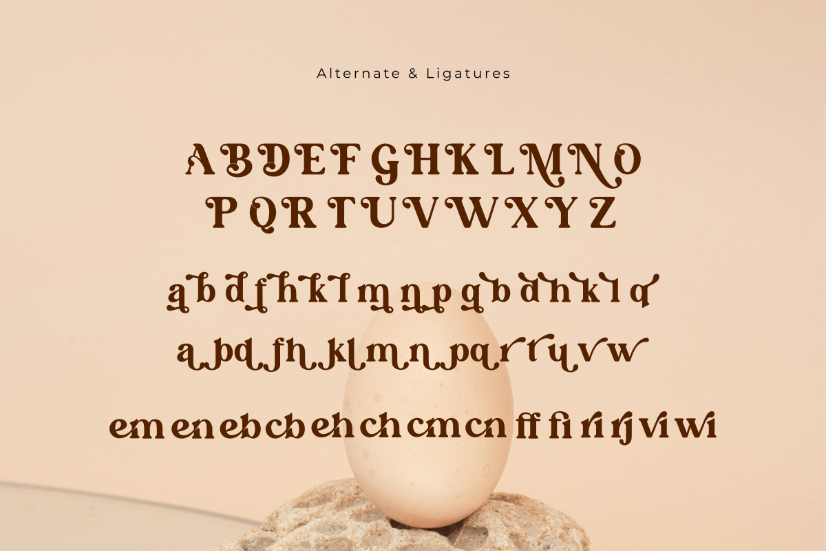 Dellaris, a Serif Font by Zafiratype (Photo 12 of 13)