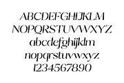 Talesha Font Family, a Serif Font by Seniors (Thumbnail 16 of 30)