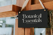 Primrose Essentials Font Duo, a Serif Font by Storytype Studio (Thumbnail 10 of 15)
