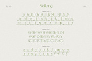 Mallong Typeface, a Serif Font by alit design (Thumbnail 11 of 17)
