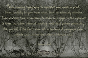 Speener, a Font by CozyFonts Foundry (Thumbnail 5 of 5)