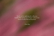 Garden Haze - Blurry Backgrounds, a Background Graphic by Dina Mae (Thumbnail 14 of 14)