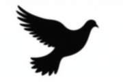 Bird Silhouette design bundle, an Illustration by Creativeshirt (Thumbnail 10 of 11)