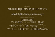 Kiprhany Modern Serif Font, a Serif Font by Letterena Studios (Thumbnail 13 of 15)