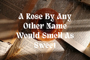 Quivert - Serif Display Font, a Serif Font by Dhabee (Thumbnail 3 of 17)
