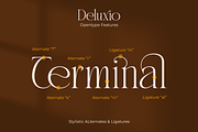 Deluxio - Modern Luxury Serif Font, a Serif Font by Pixesia Studio (Thumbnail 9 of 10)