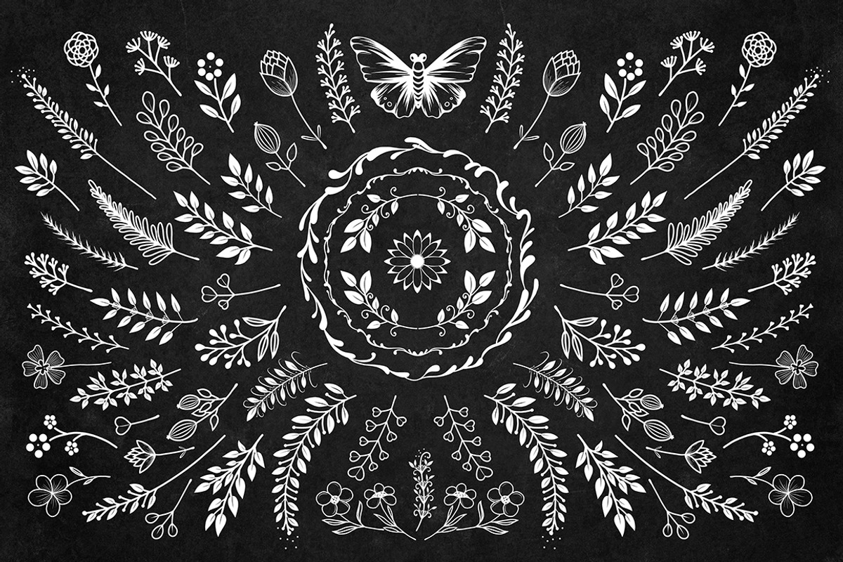 Bloom Сollection, a Decorative Illustration by Luba Vega (Photo 6 of 6)