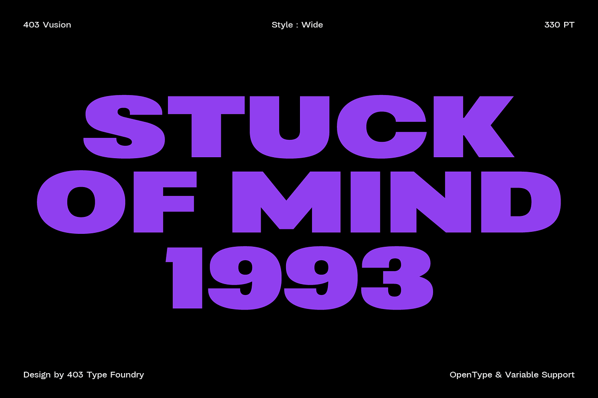 403 Vusion, a Sans Serif Font by 403 Type Foundry (Photo 3 of 20)