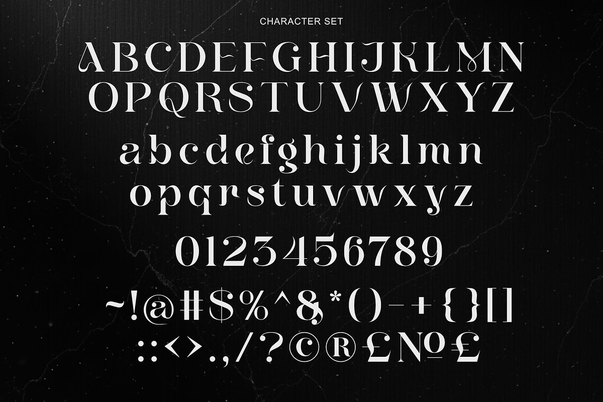 Meylda - Lavish Stylish Serif, a Serif Font by Sealoung (Photo 11 of 11)
