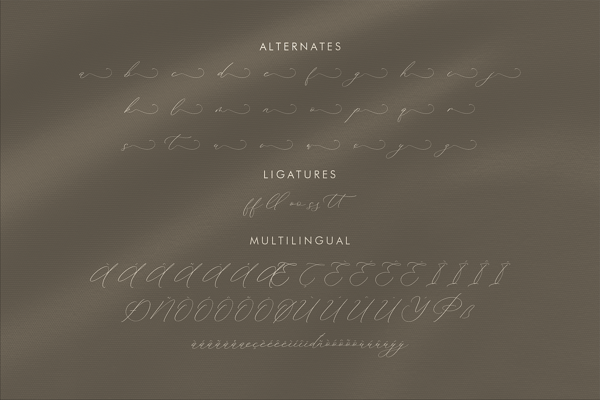 Waittelian Grolinda, a Script Font by Storytype Studio (Photo 14 of 15)