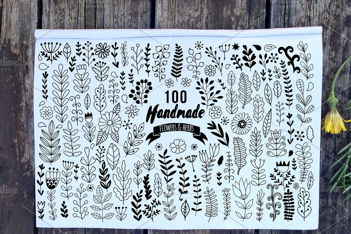 Set of doodle leaf and flowers, a Decorative Illustration by Markovka (Photo 1 of 5)