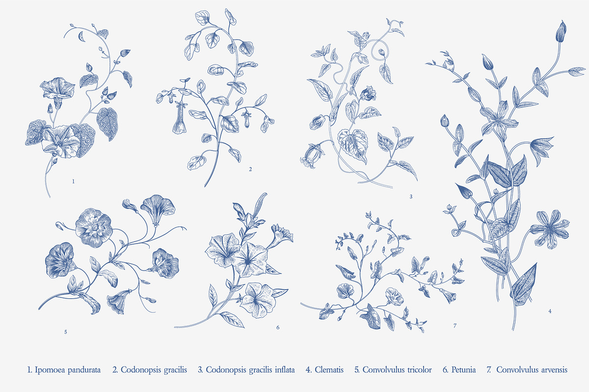 The Tree of Life. Blue and white, a Decorative Illustration by olga.korneeva (Photo 2 of 12)