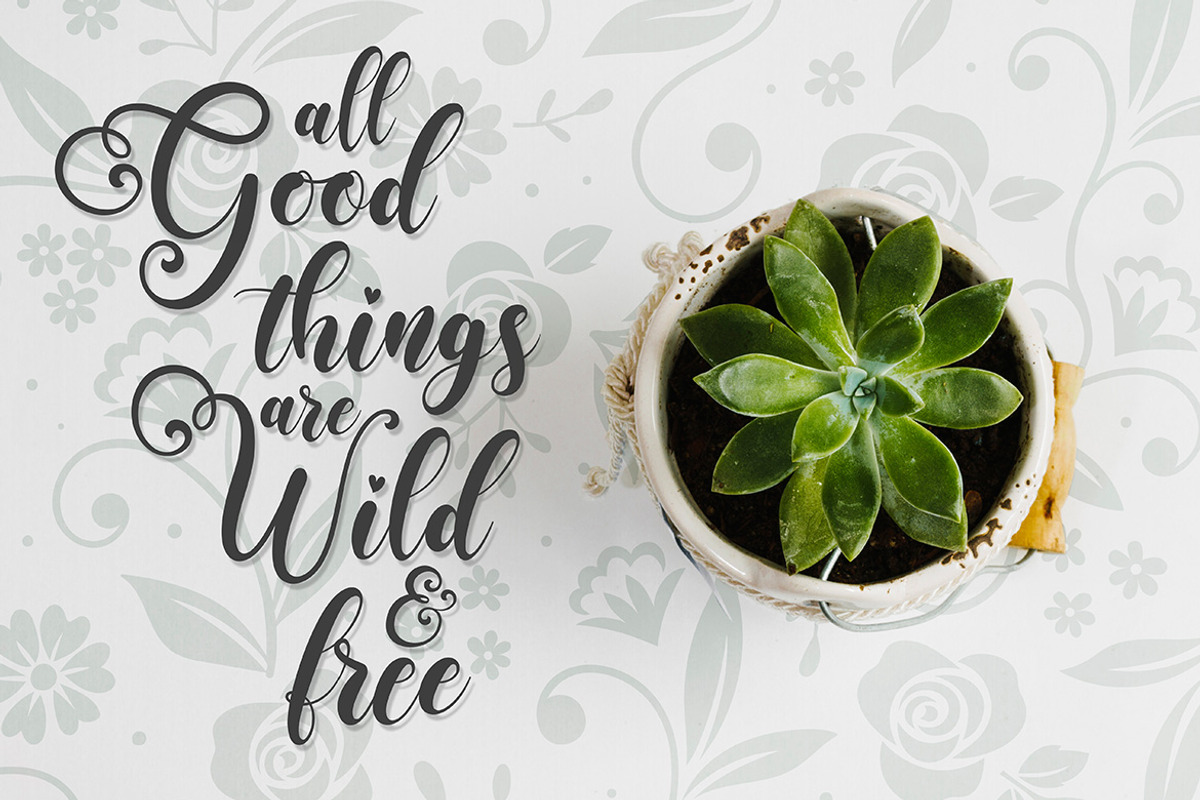 Fairytails | Modern Calligraphy, a Script Font by Almeera Std (Photo 11 of 12)