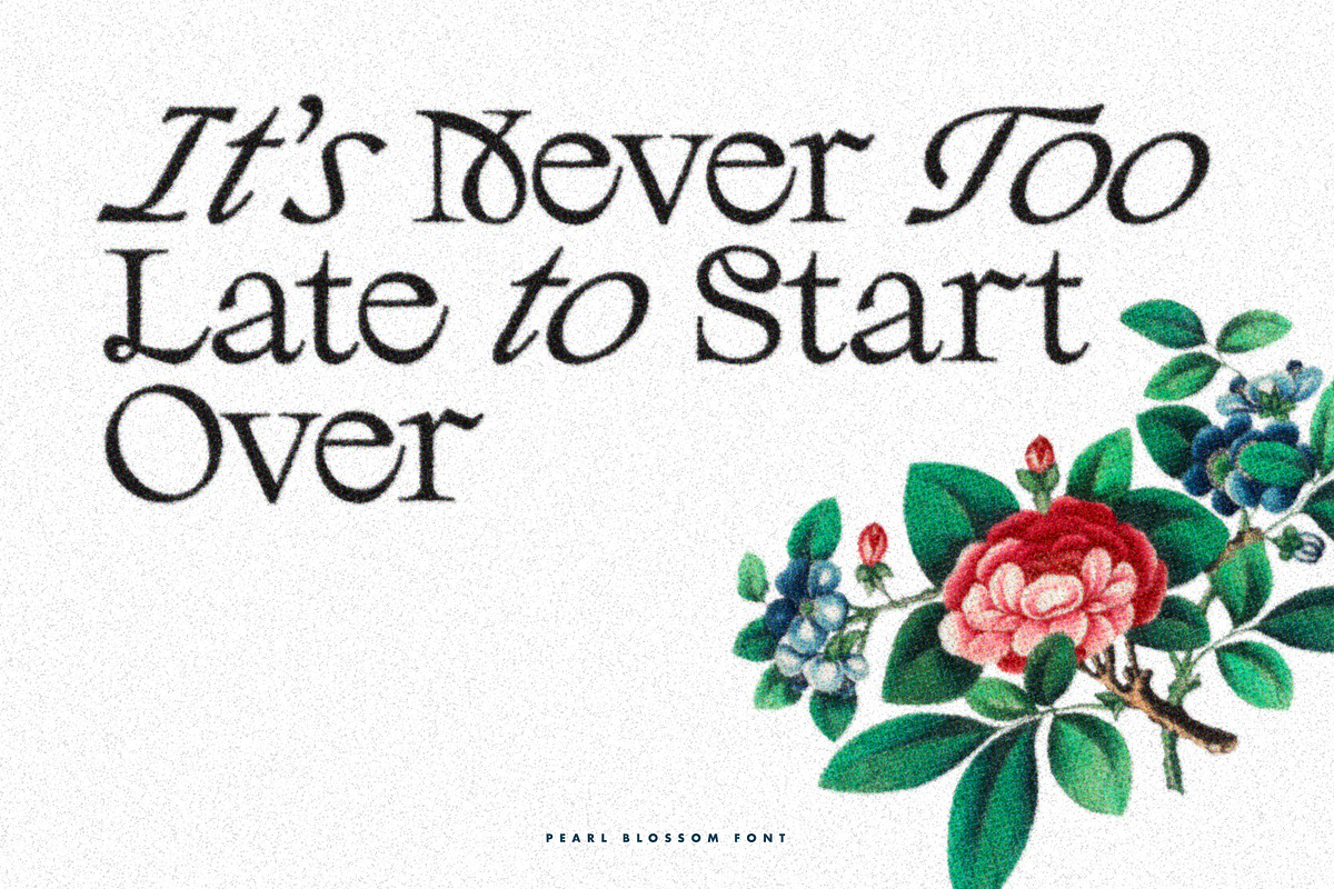 Pearl Blossom - Modern Serif, a Serif Font by Ivan Rosenberg (Photo 8 of 21)