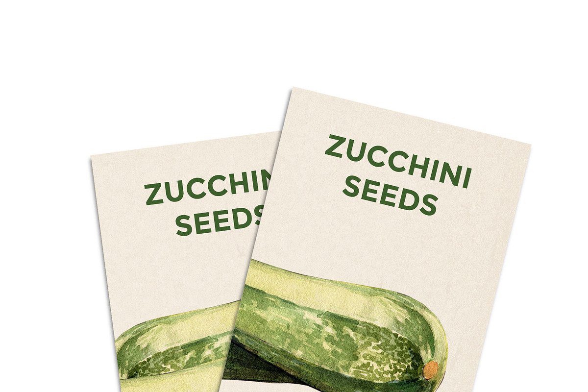 Zucchini watercolor illustrations, a Food Illustration by wedraw (Photo 4 of 4)