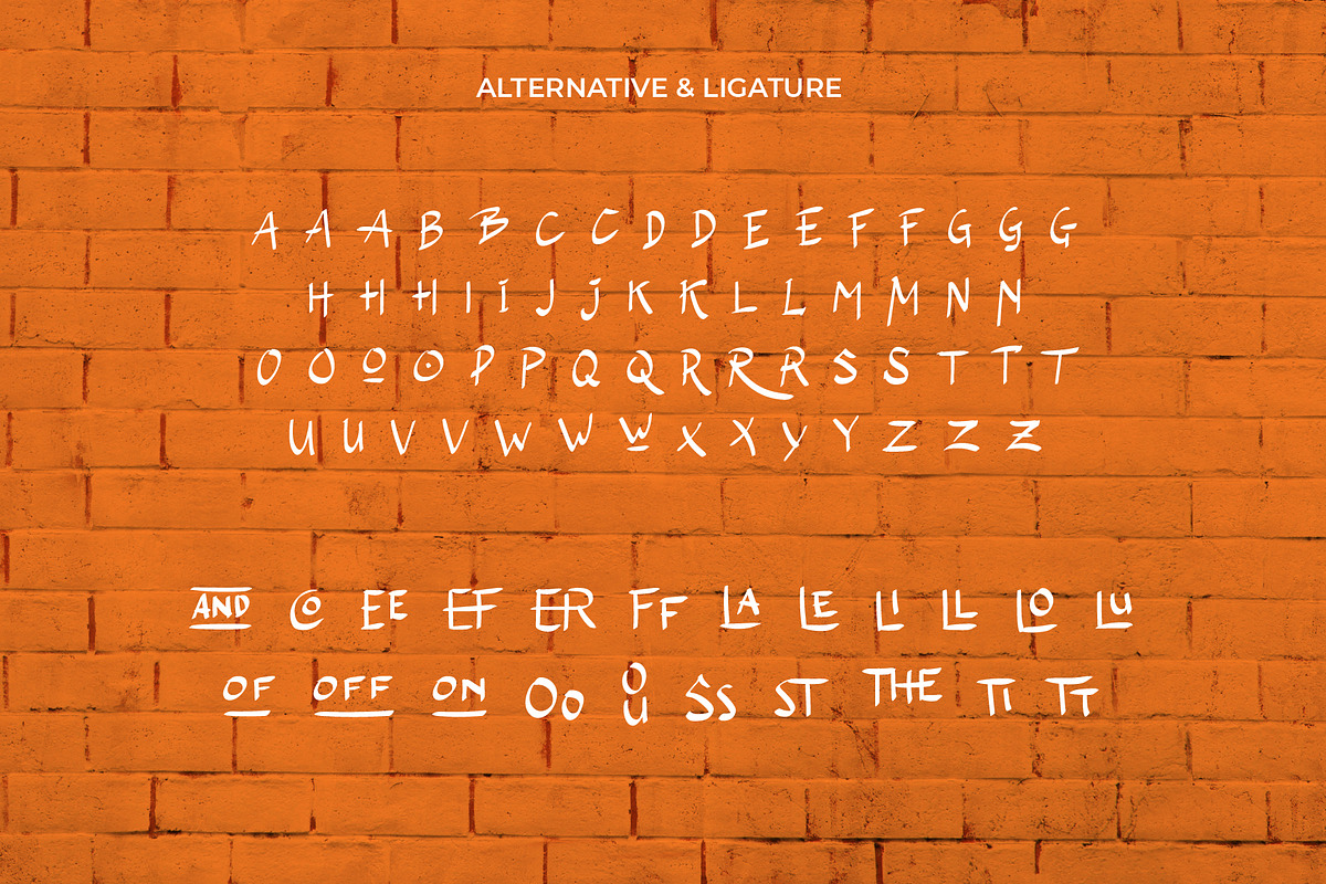 The Wolfflin // Handwritten Font, a Script Font by Letterature Std. (Photo 7 of 11)