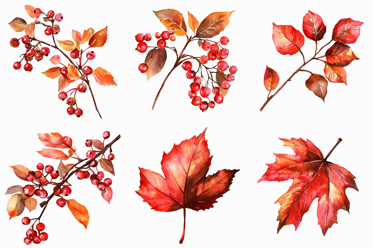 Watercolor Fall Clipart, an Illustration by Libby Wishes (Photo 6 of 6)