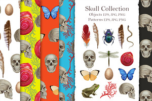 Skull Collection / Pattern Design