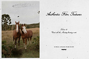 Authentic Film Textures, a Texture Graphic by Purple (Thumbnail 1 of 14)
